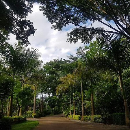 Samnaree Garden House Otel Ban Phae Mai Dış mekan fotoğraf