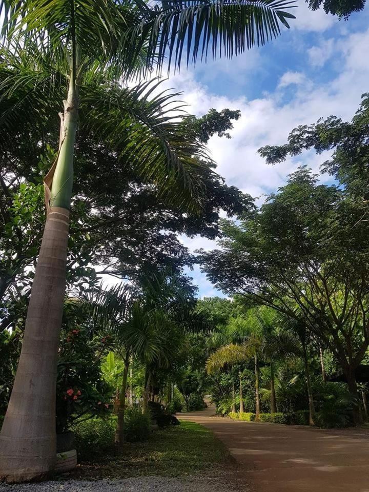 Samnaree Garden House Otel Ban Phae Mai Dış mekan fotoğraf